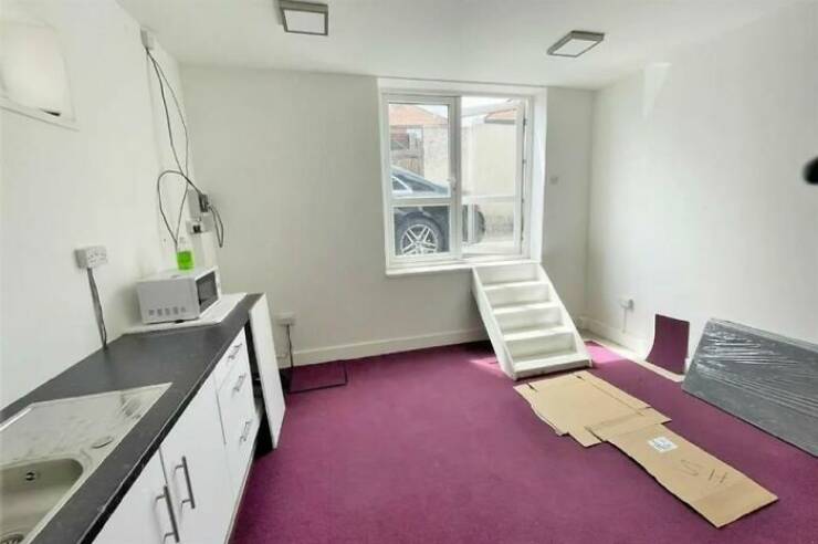 When Home Renovation Meets Pure Chaos