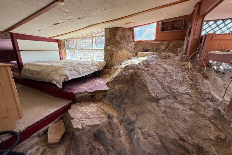 When Home Renovation Meets Pure Chaos