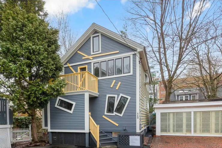When Home Renovation Meets Pure Chaos