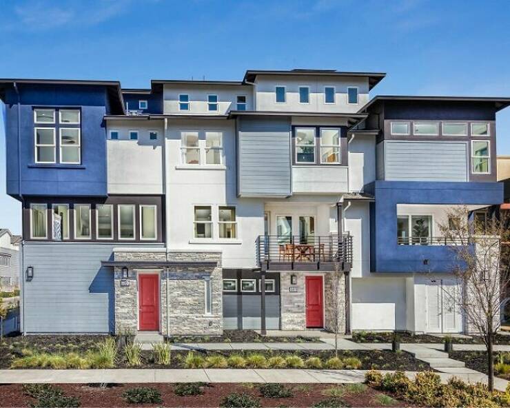 When Home Renovation Meets Pure Chaos