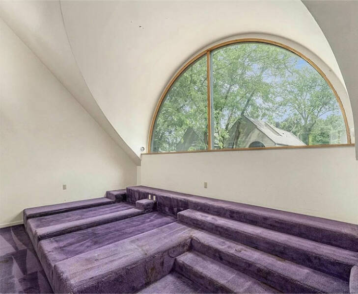 When Home Renovation Meets Pure Chaos