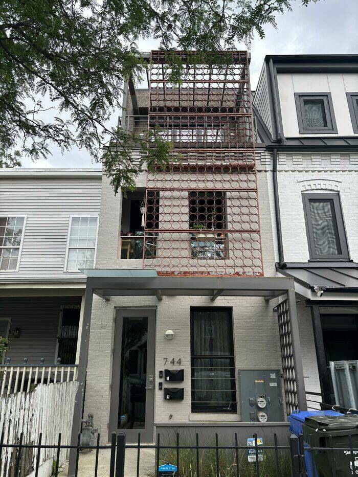 When Home Renovation Meets Pure Chaos
