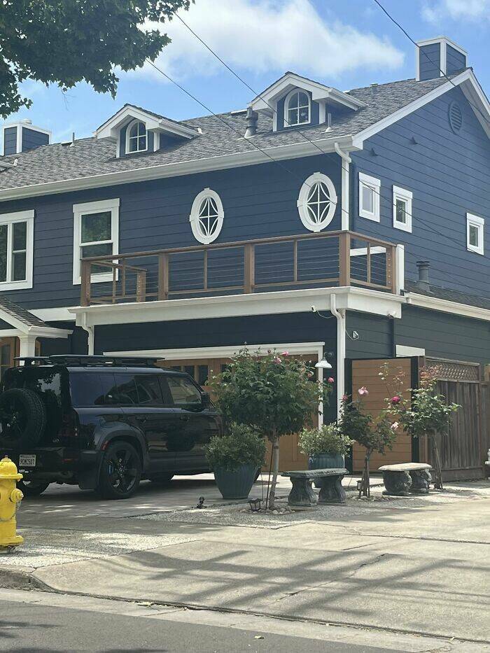 When Home Renovation Meets Pure Chaos