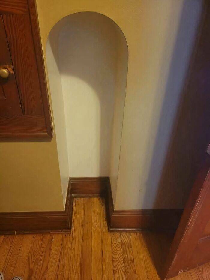 When Home Renovation Meets Pure Chaos
