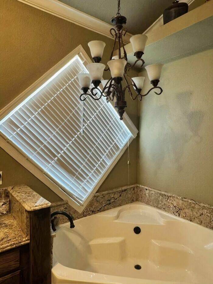 When Home Renovation Meets Pure Chaos