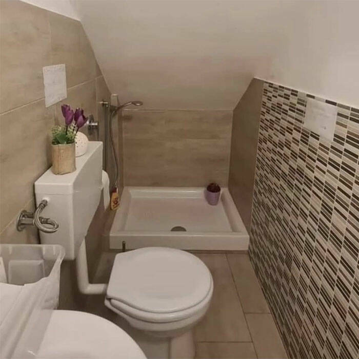 When Home Renovation Meets Pure Chaos