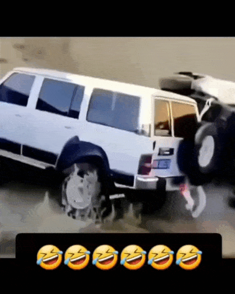 Daily Gifdump