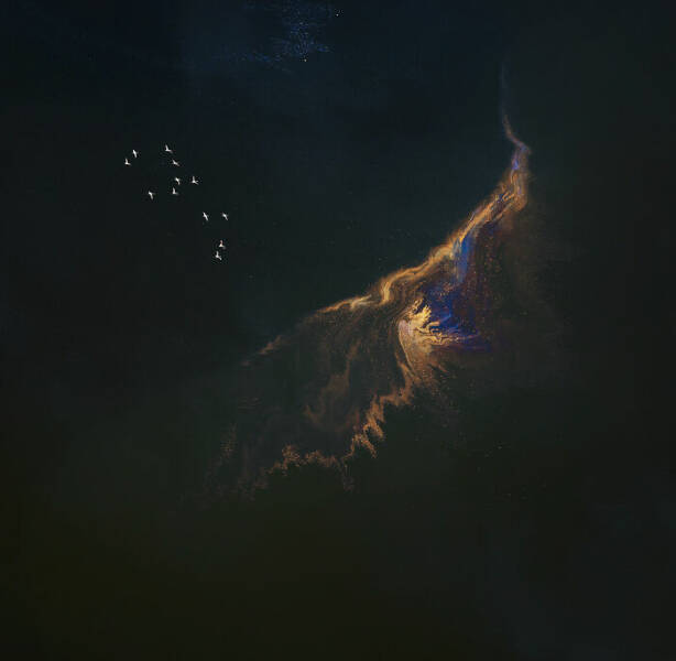 Aerial Masterpieces from the 2025 Photo Awards