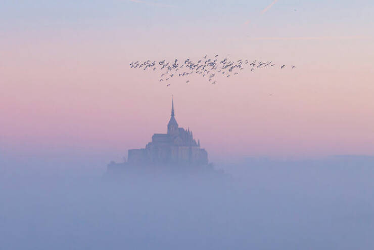 Aerial Masterpieces from the 2025 Photo Awards