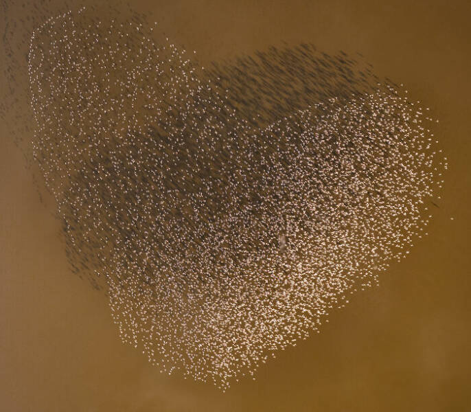 Aerial Masterpieces from the 2025 Photo Awards