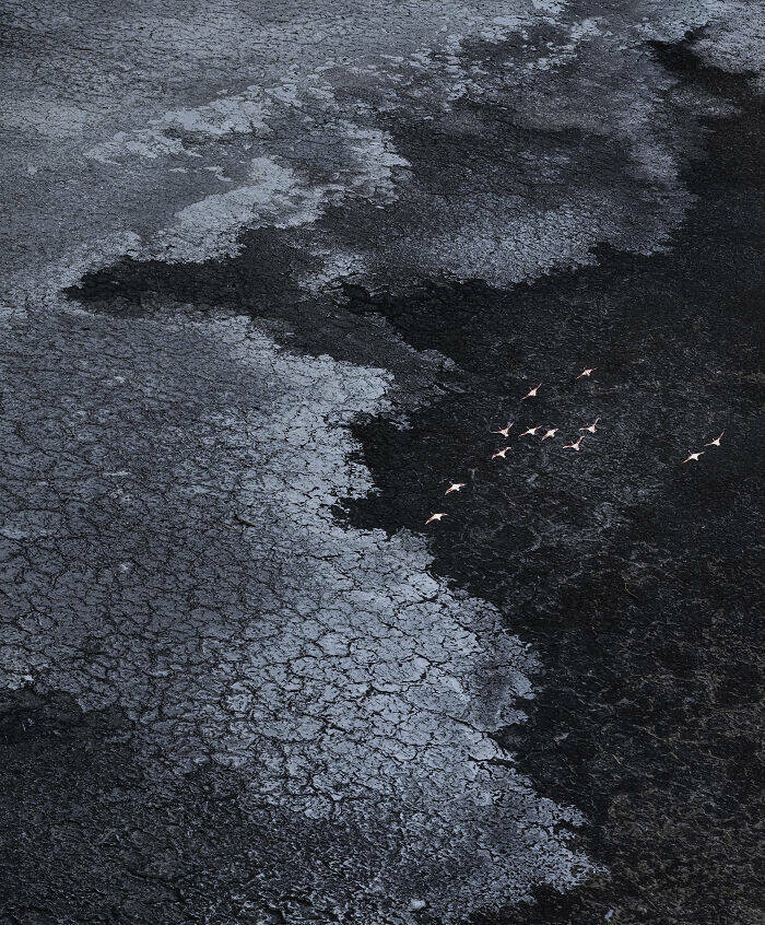 Aerial Masterpieces from the 2025 Photo Awards