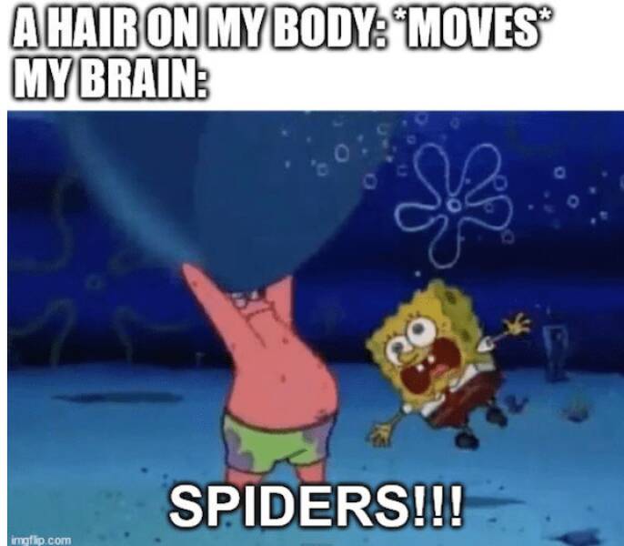 Brutally Honest and Totally Hilarious