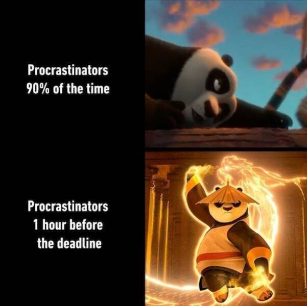 Brutally Honest and Totally Hilarious