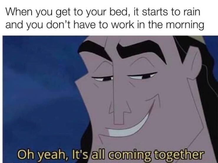 Brutally Honest and Totally Hilarious