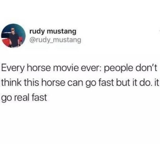 Brutally Honest and Totally Hilarious