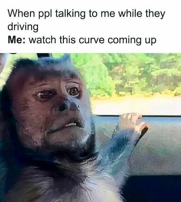 Brutally Honest and Totally Hilarious