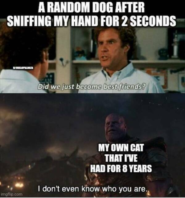 Brutally Honest and Totally Hilarious