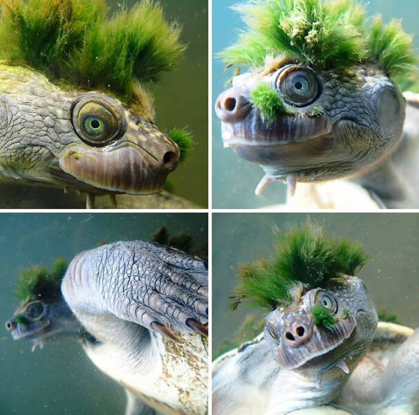 Feel-Good Finds from Around the World