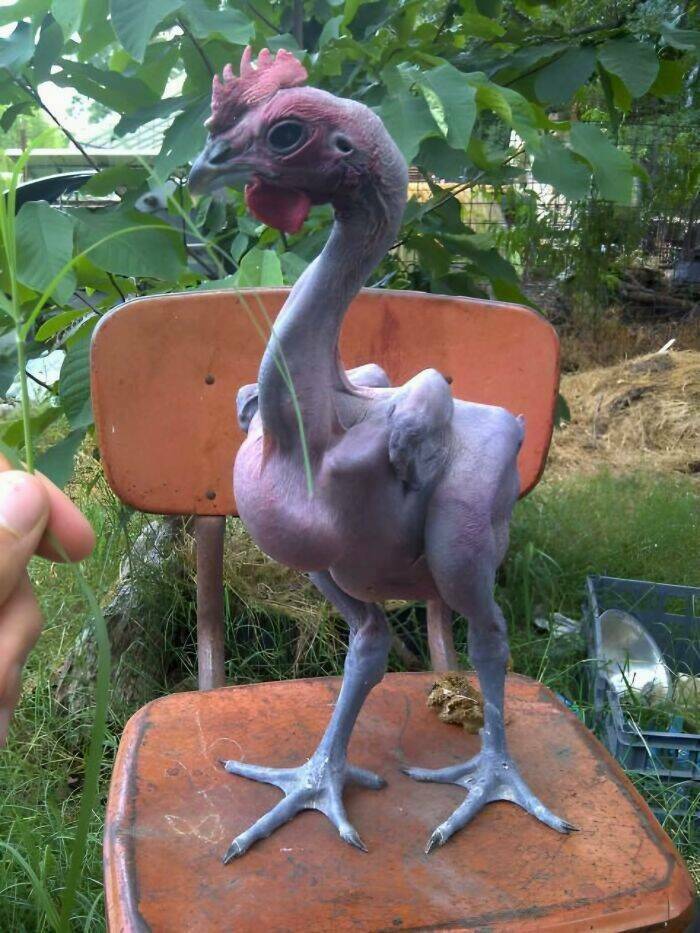 Feel-Good Finds from Around the World