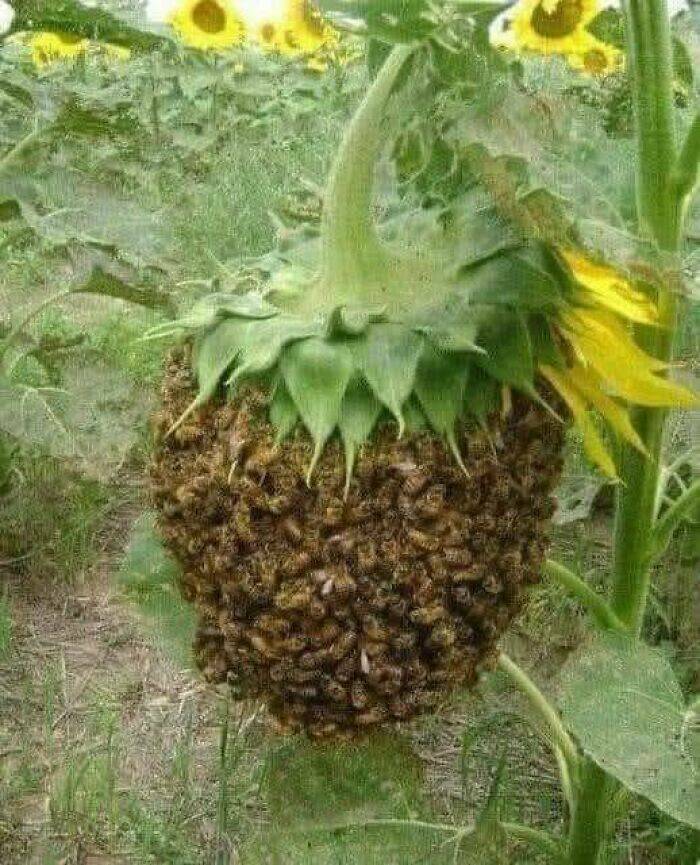 Feel-Good Finds from Around the World