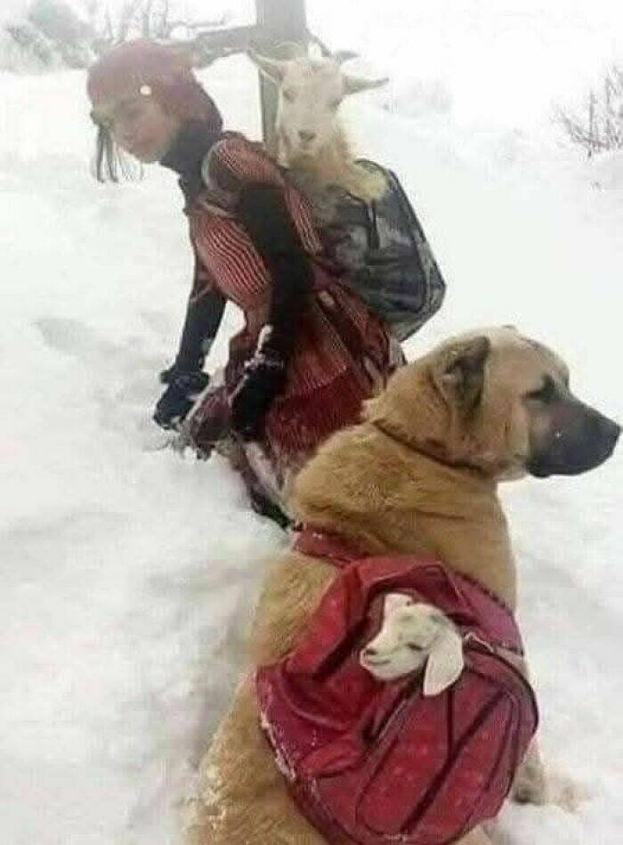 Feel-Good Finds from Around the World