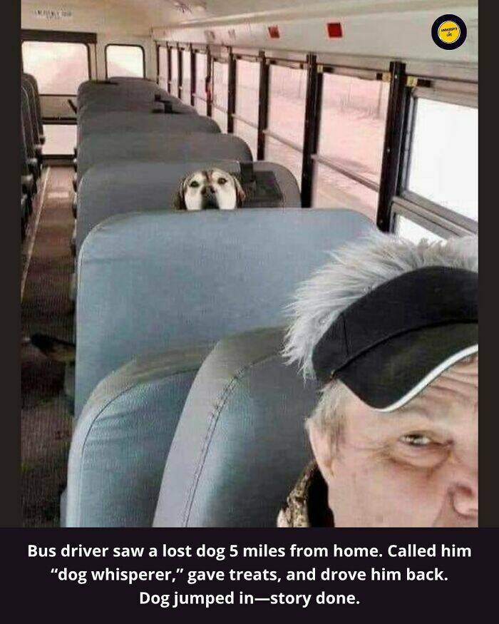 Feel-Good Finds from Around the World