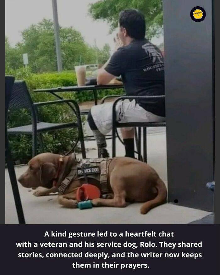 Feel-Good Finds from Around the World