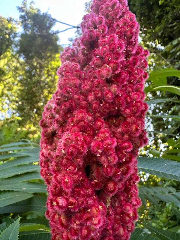 The Art of Satisfaction The Art of Satisfaction