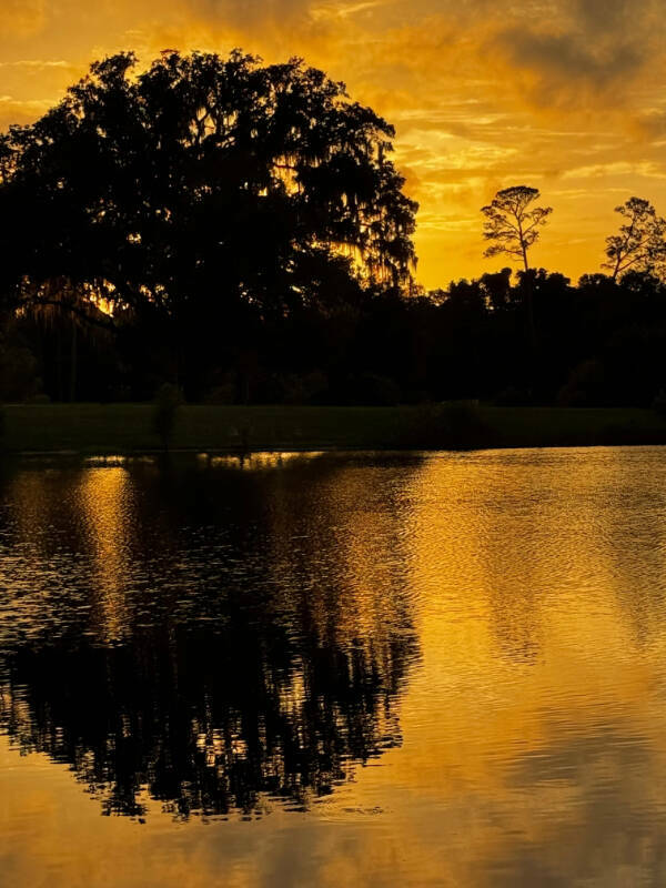 The Art of Satisfaction The Art of Satisfaction