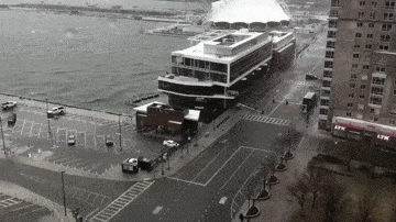 Daily Gifdump Daily Gifdump