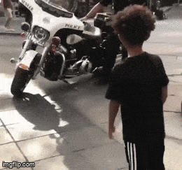 Daily Gifdump Daily Gifdump