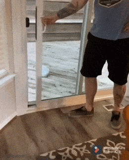 Daily Gifdump Daily Gifdump