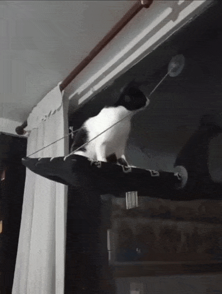 Daily Gifdump Daily Gifdump