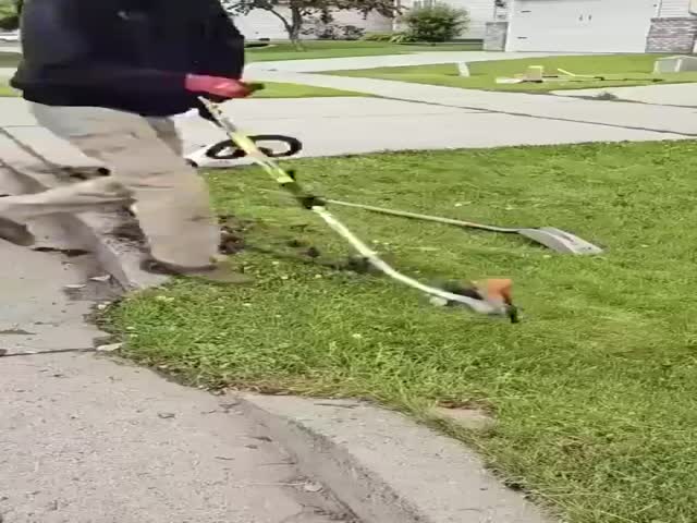 Satisfaction
