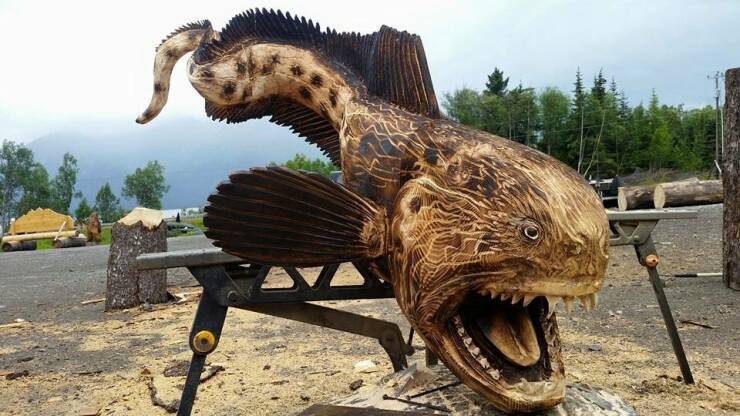 Daily Picdump Daily Picdump