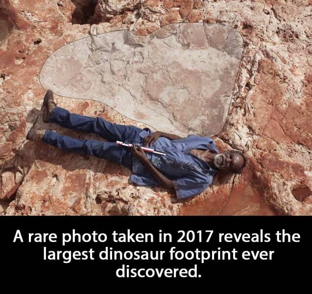 Daily Picdump Daily Picdump