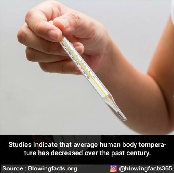 Daily Picdump Daily Picdump