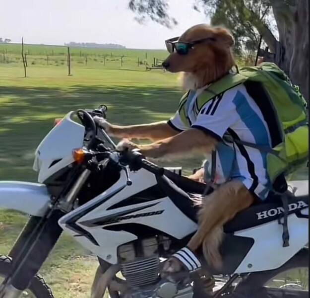 Daily Picdump