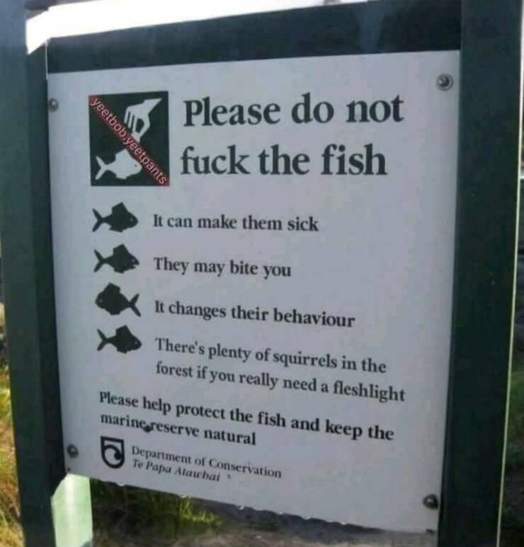 Daily Picdump Daily Picdump