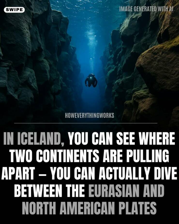 Daily Picdump Daily Picdump