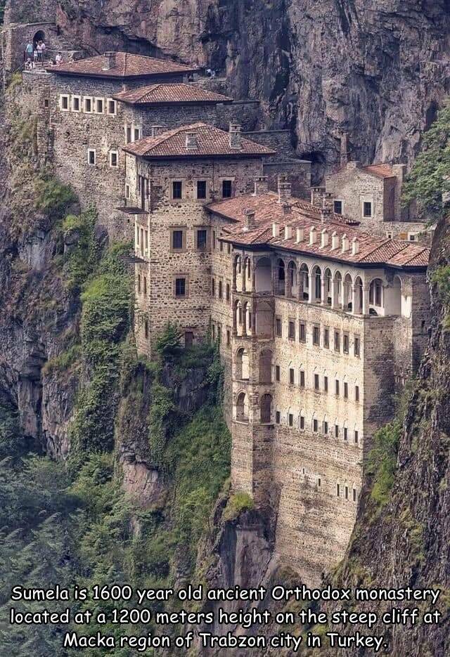 Daily Picdump Daily Picdump