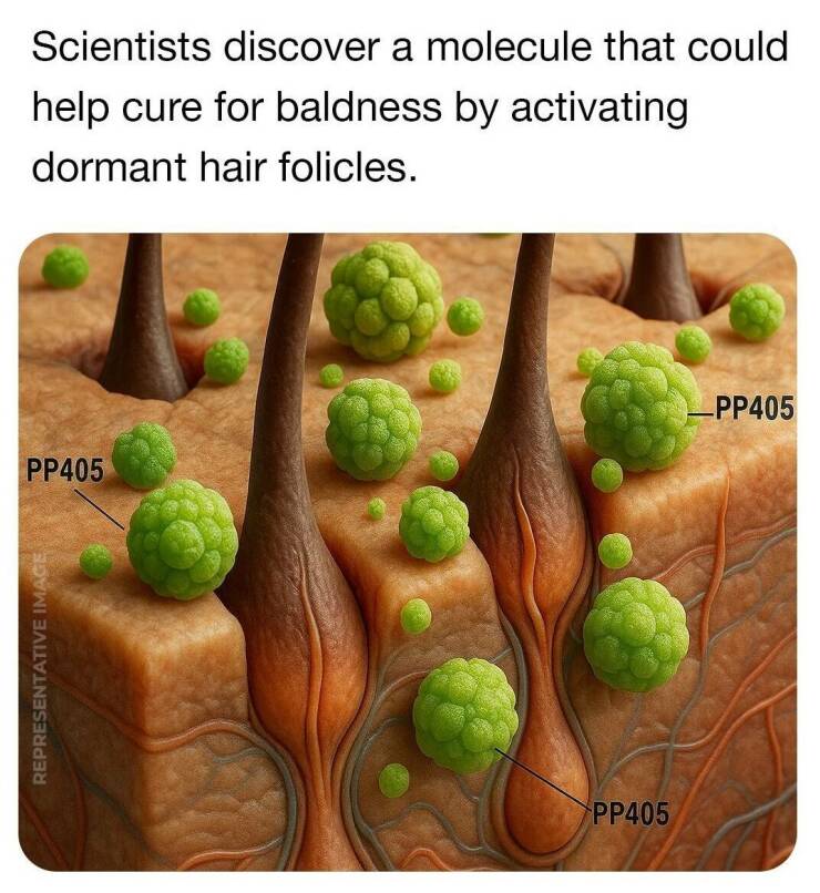 Daily Picdump Daily Picdump