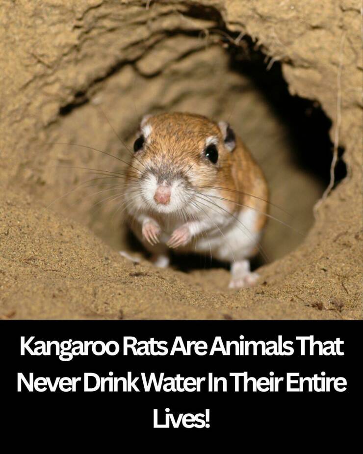 Daily Picdump Daily Picdump