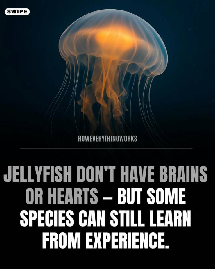 Daily Picdump Daily Picdump