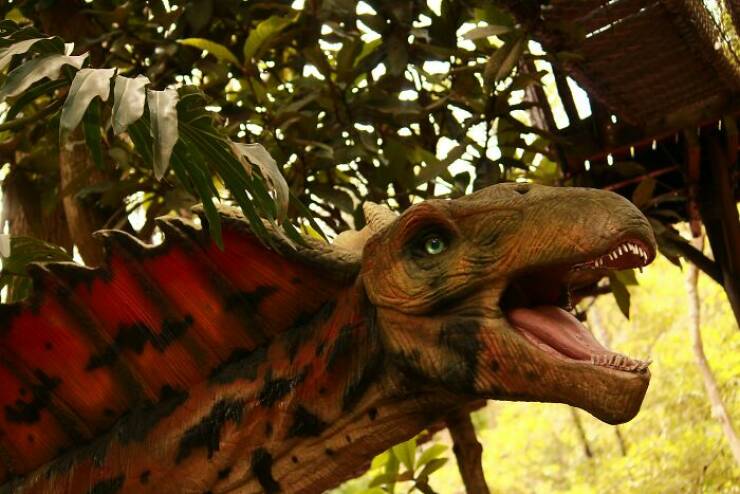 Fierce, Fascinating & Totally Cool Dinosaur Trivia