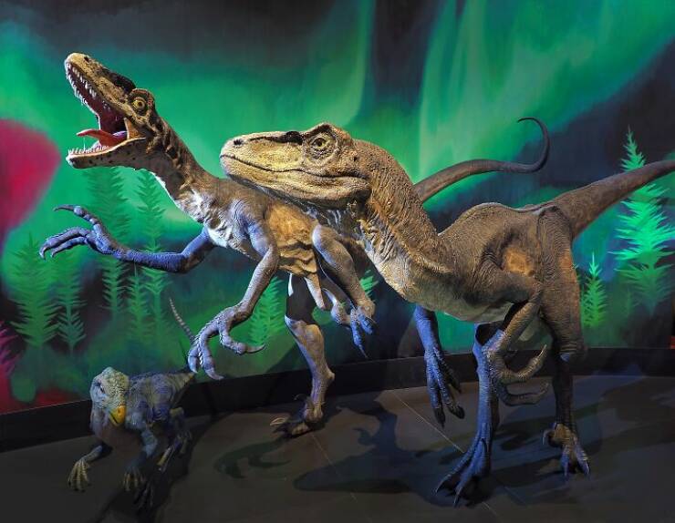 Fierce, Fascinating & Totally Cool Dinosaur Trivia