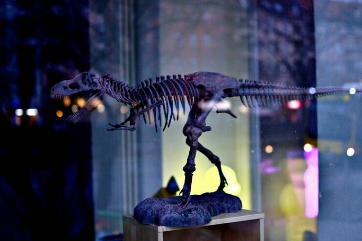 Fierce, Fascinating & Totally Cool Dinosaur Trivia