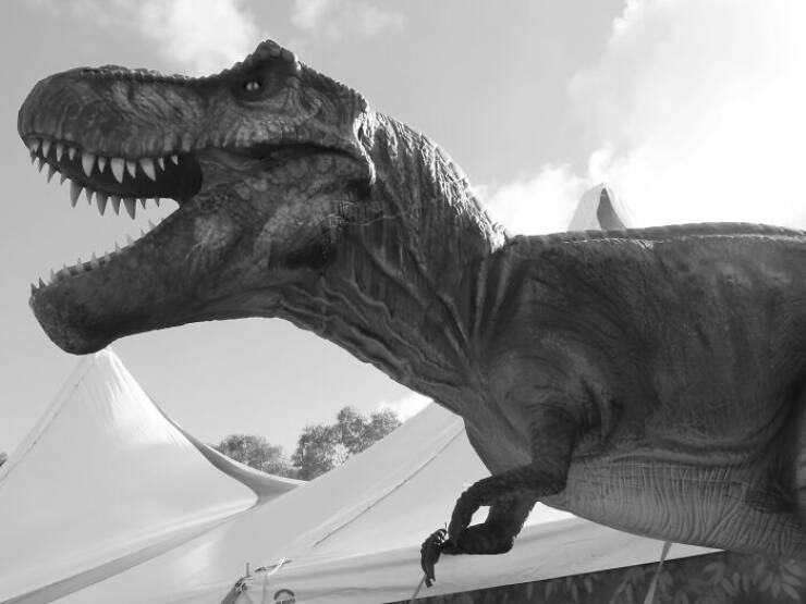Fierce, Fascinating & Totally Cool Dinosaur Trivia