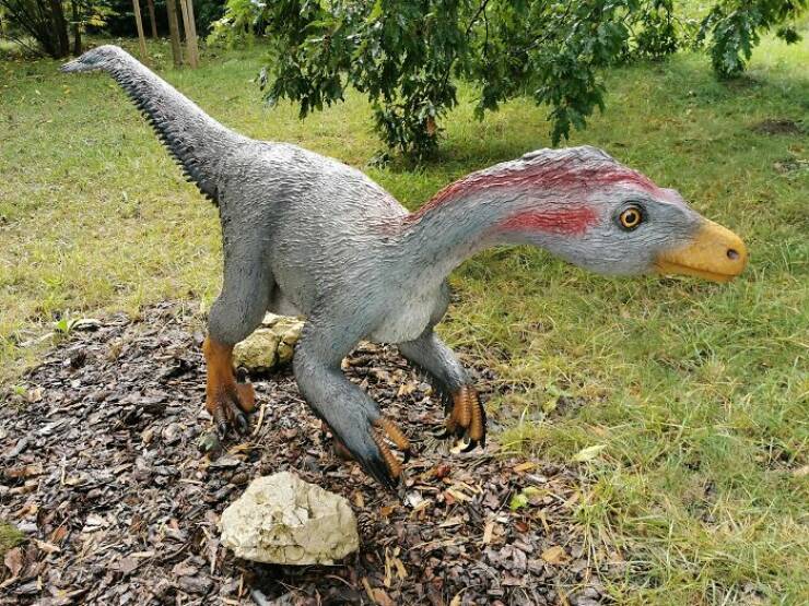 Fierce, Fascinating & Totally Cool Dinosaur Trivia