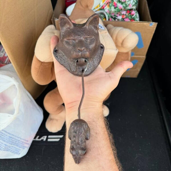 Hidden Gems Found at the Thrift Store